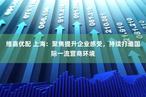 维嘉优配 上海：聚焦提升企业感受，持续打造国际一流营商环境